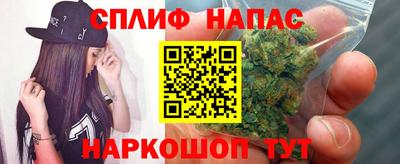 шишки Славгород