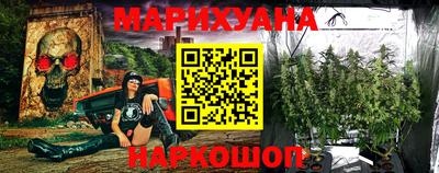 шишки Славгород