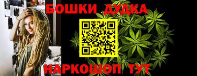 крисы Сланцы