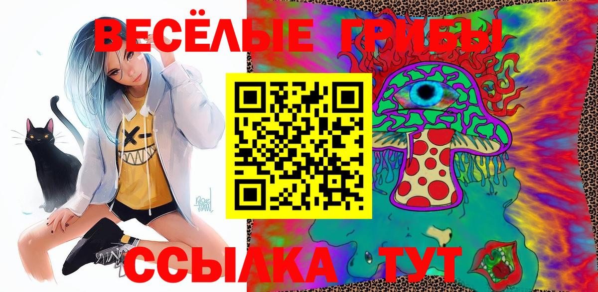 Галлюциногенные грибы Psilocybe Ахтубинск